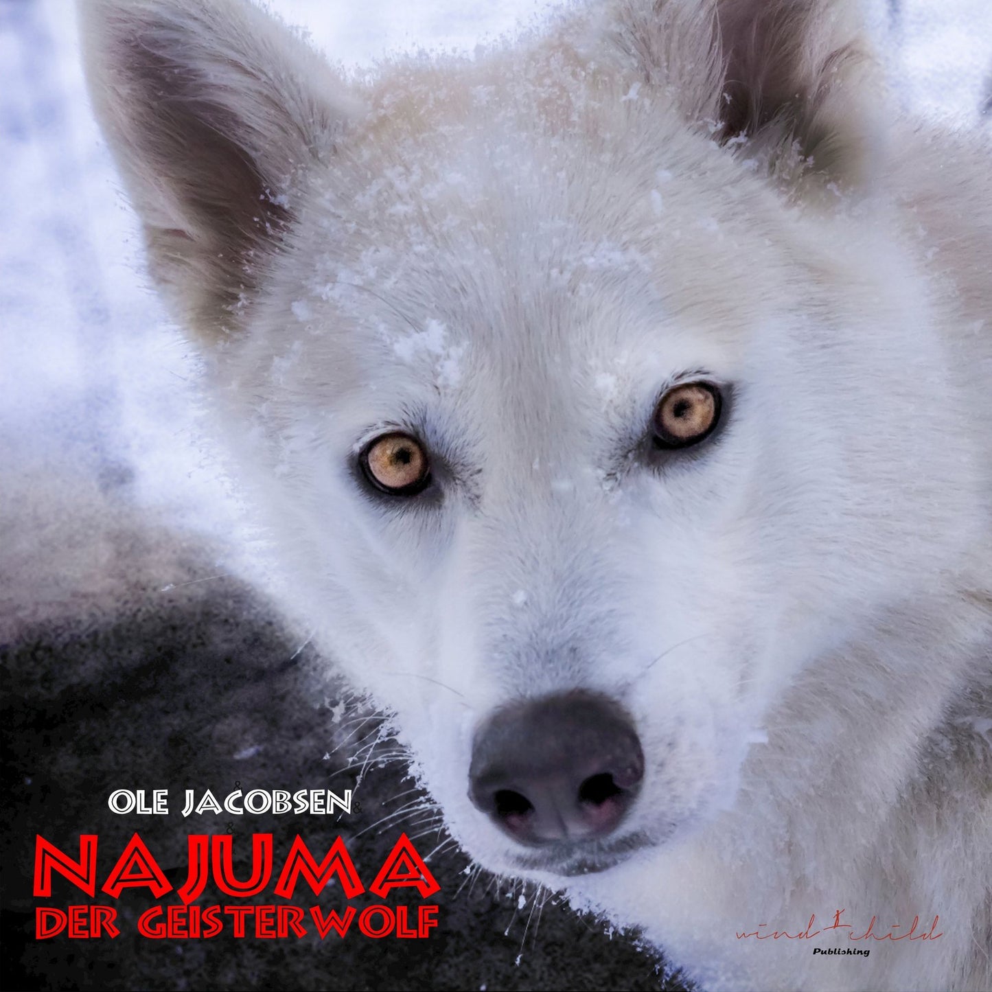 Najuma, der Geisterwolf (Abridged)