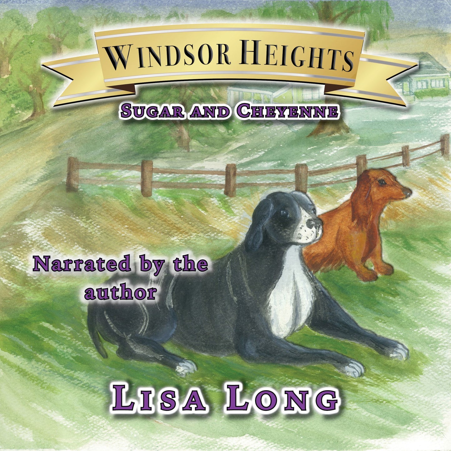 Windsor Heights Book 6 - Sugar and Cheyenne: Sugar and Cheyenne