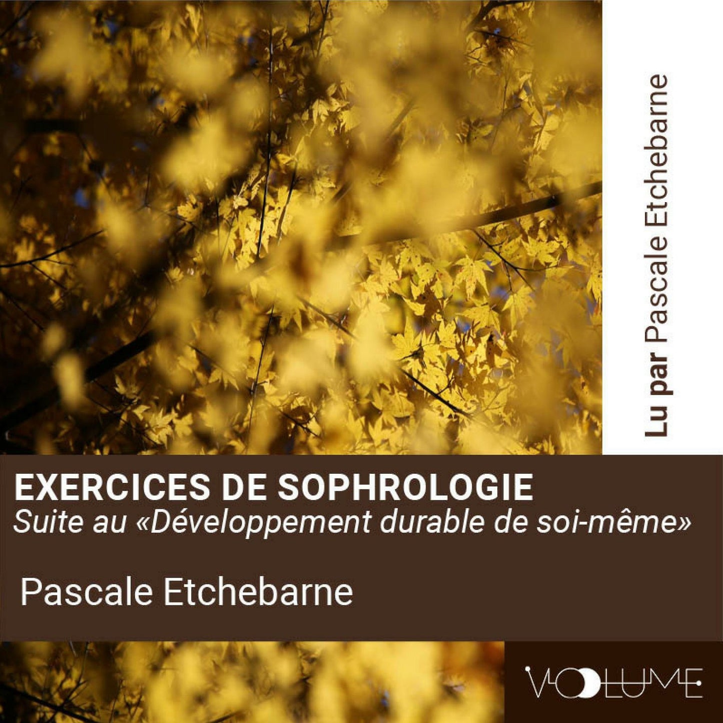 Exercices de sophrologie