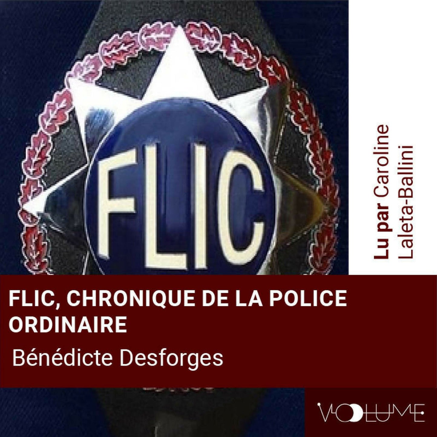 Flic: Chroniques de la police ordinaire