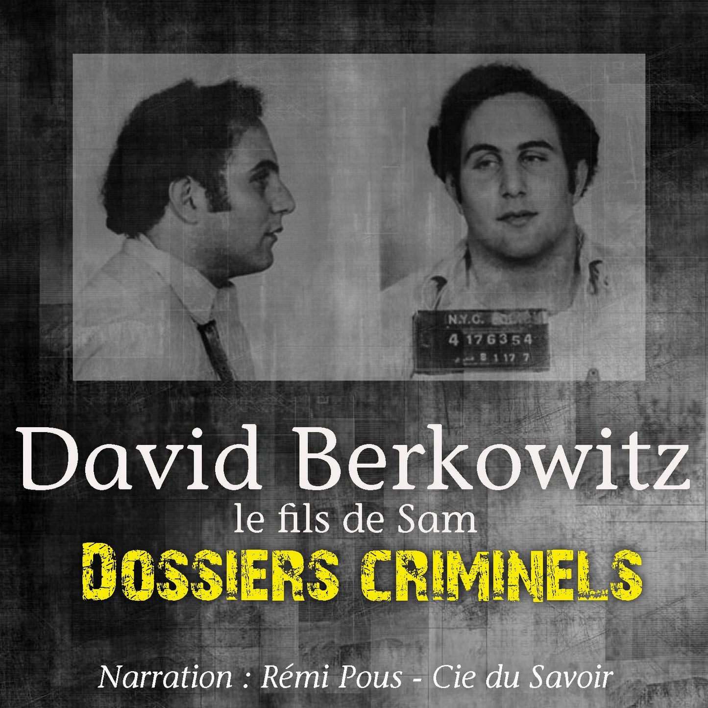 Dossiers Criminels: Le Fils de Sam : Dossiers Criminels