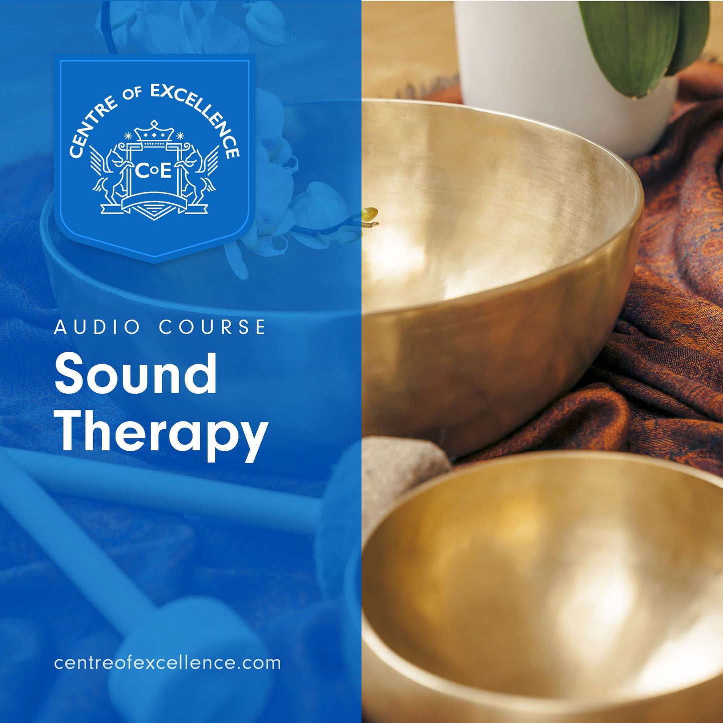 Sound Therapy : Audio Course