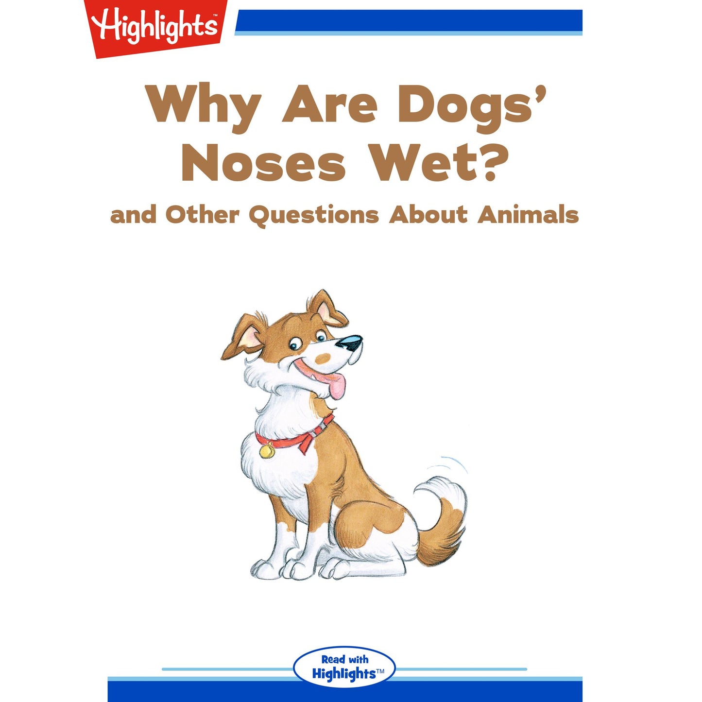 Why Are Dogs' Noses Wet? : and Other Questions About Animals