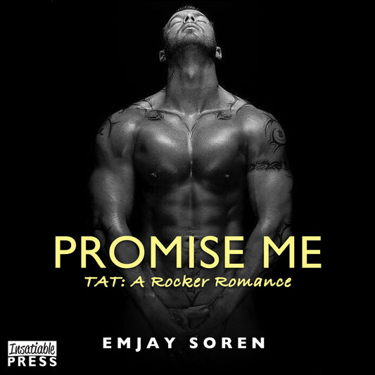 Promise Me : The Final Encore: TAT: A Rocker Romance, Book 6