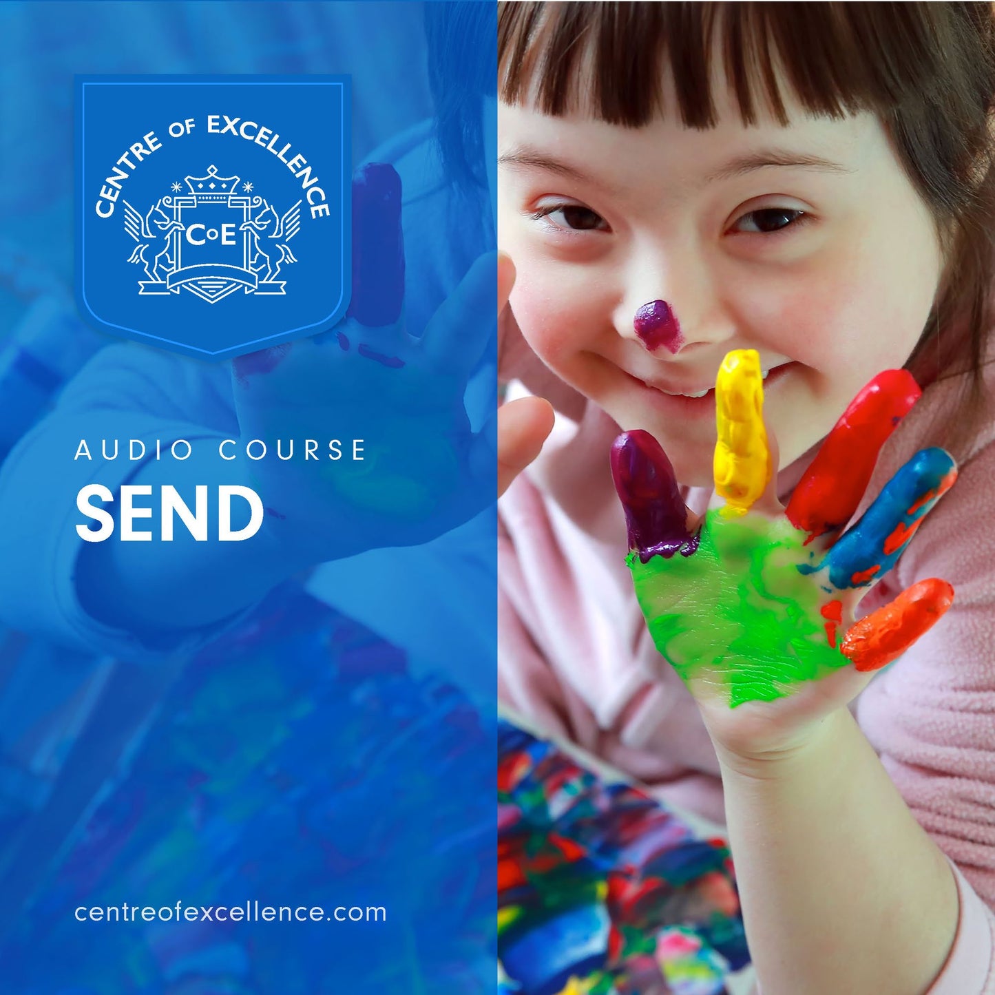 Special Educational Needs and Disability : Audio Course