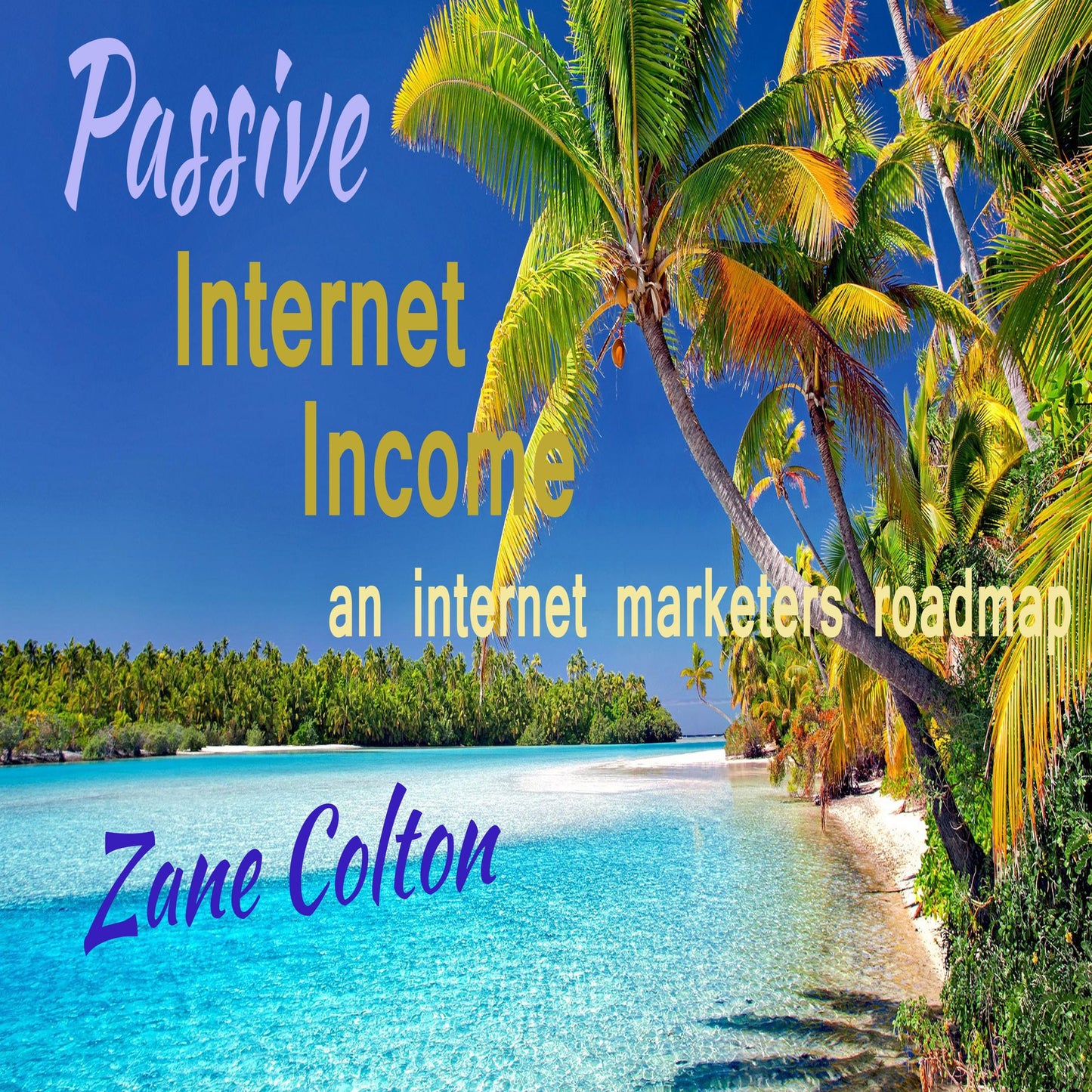 Passive Internet Income : an internet marketers roadmap