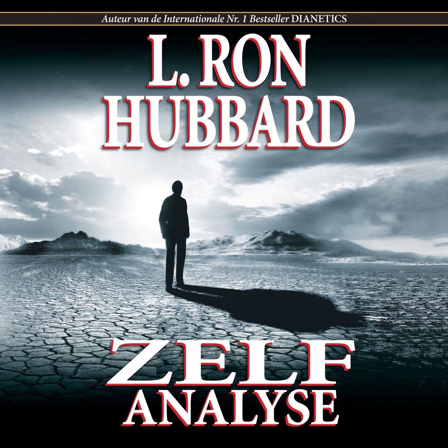 Zelf Analyse