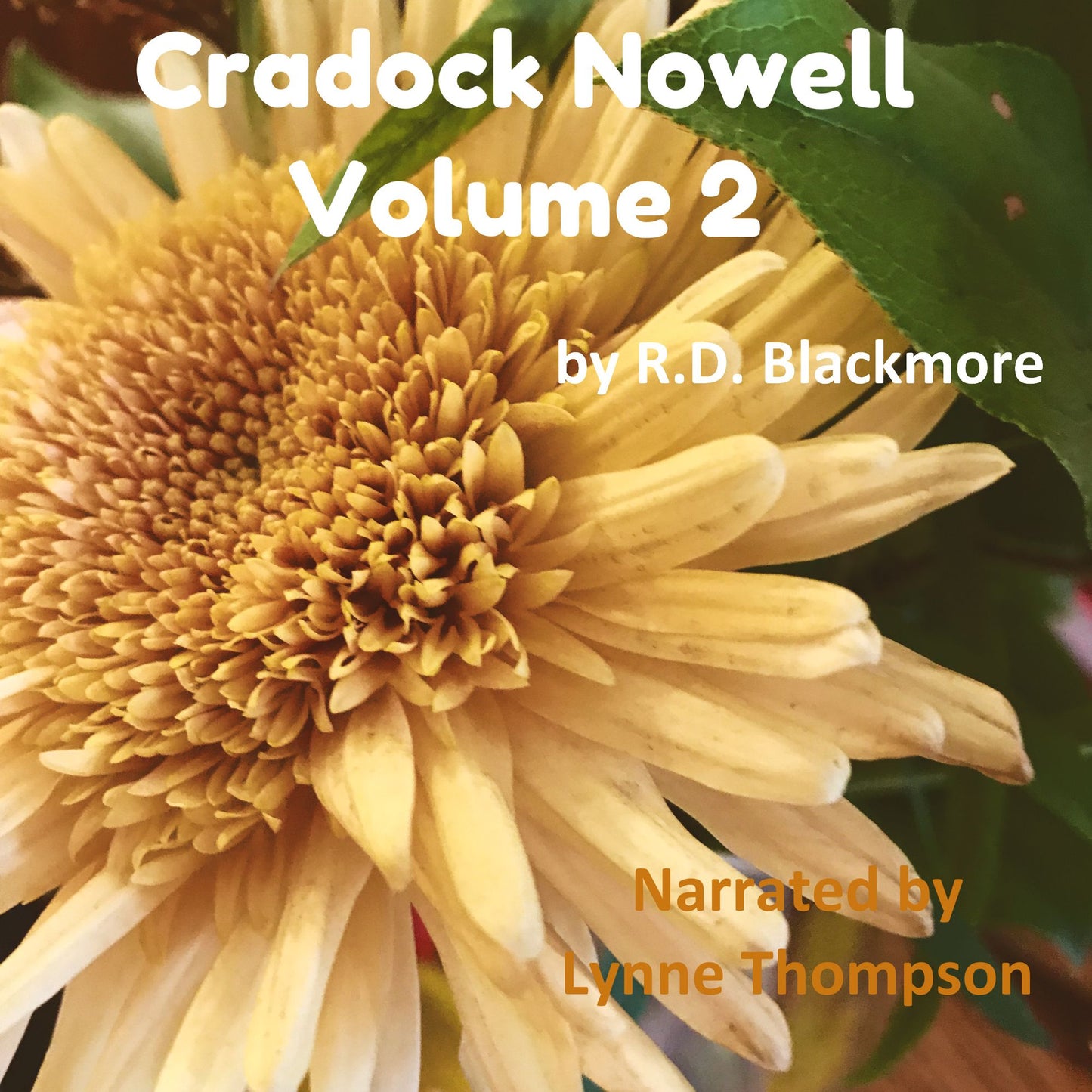 Cradock Nowell, Volume 2: A Tale of the New Forest