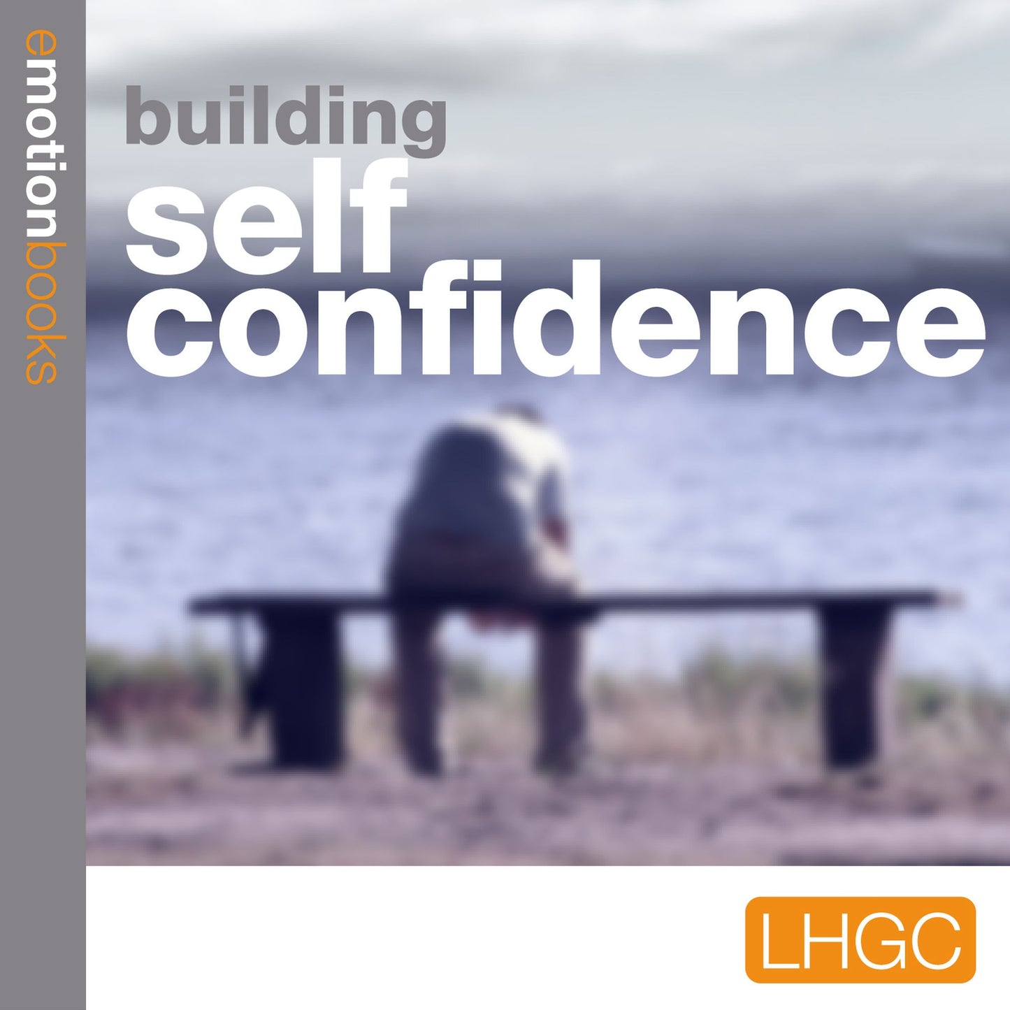 Building Self Confidence : E Motion Books
