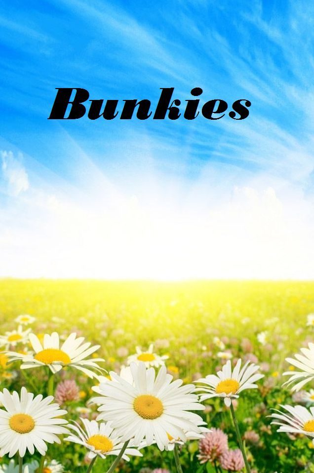 Bunkies