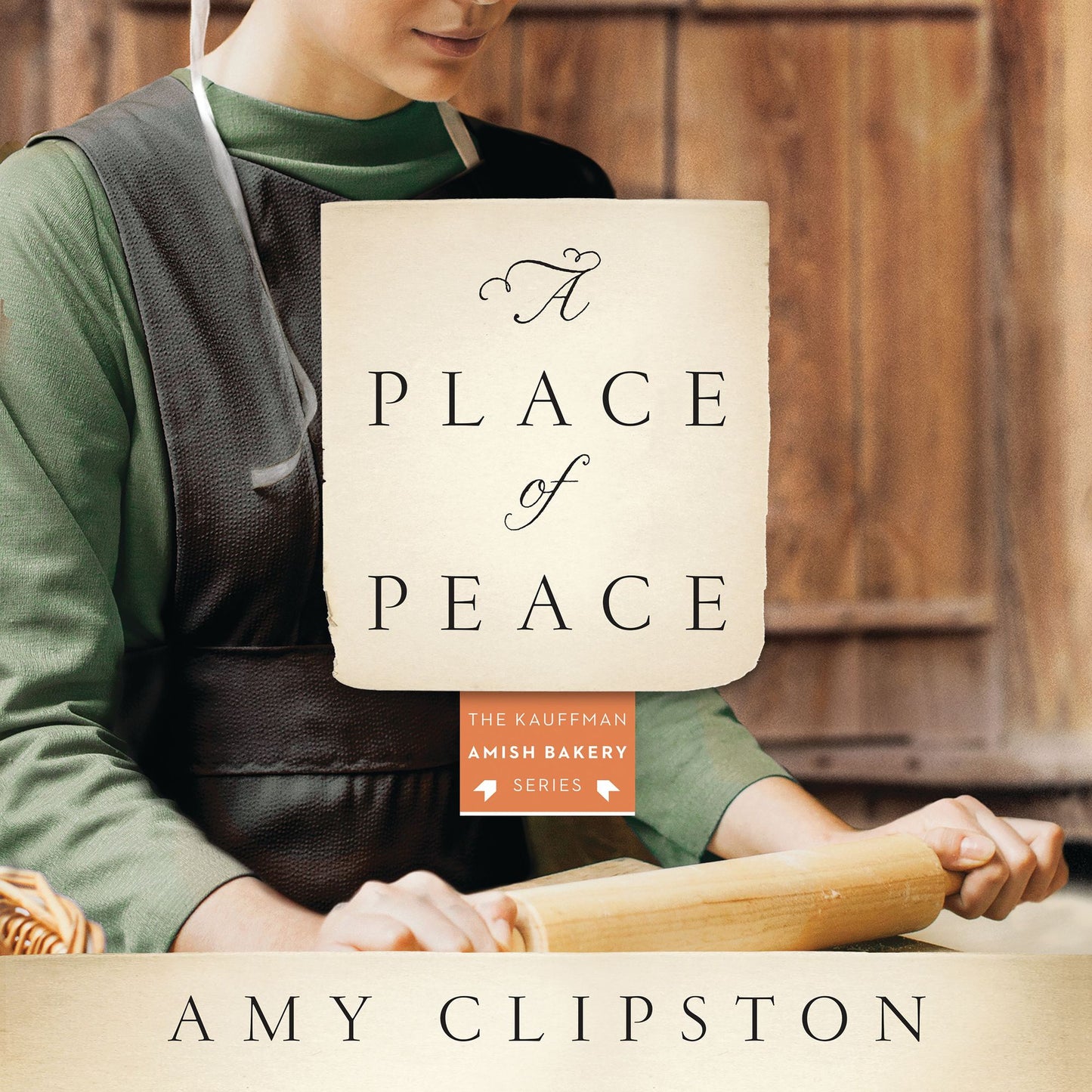 A Place of Peace: A Novel