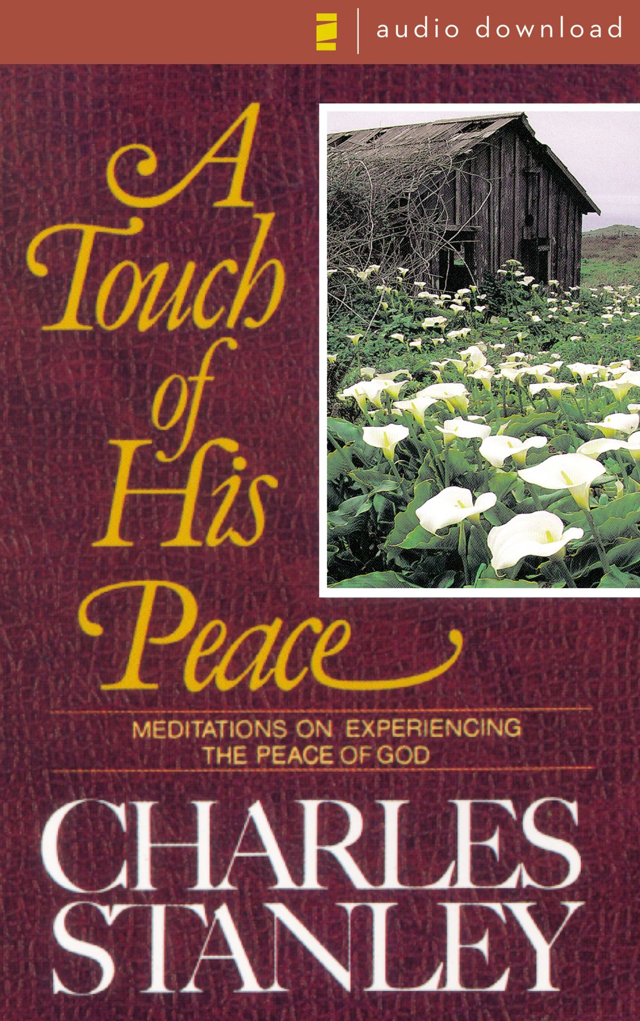 A Touch of His Peace: Meditations on Experiencing the Peace of God (Abridged)