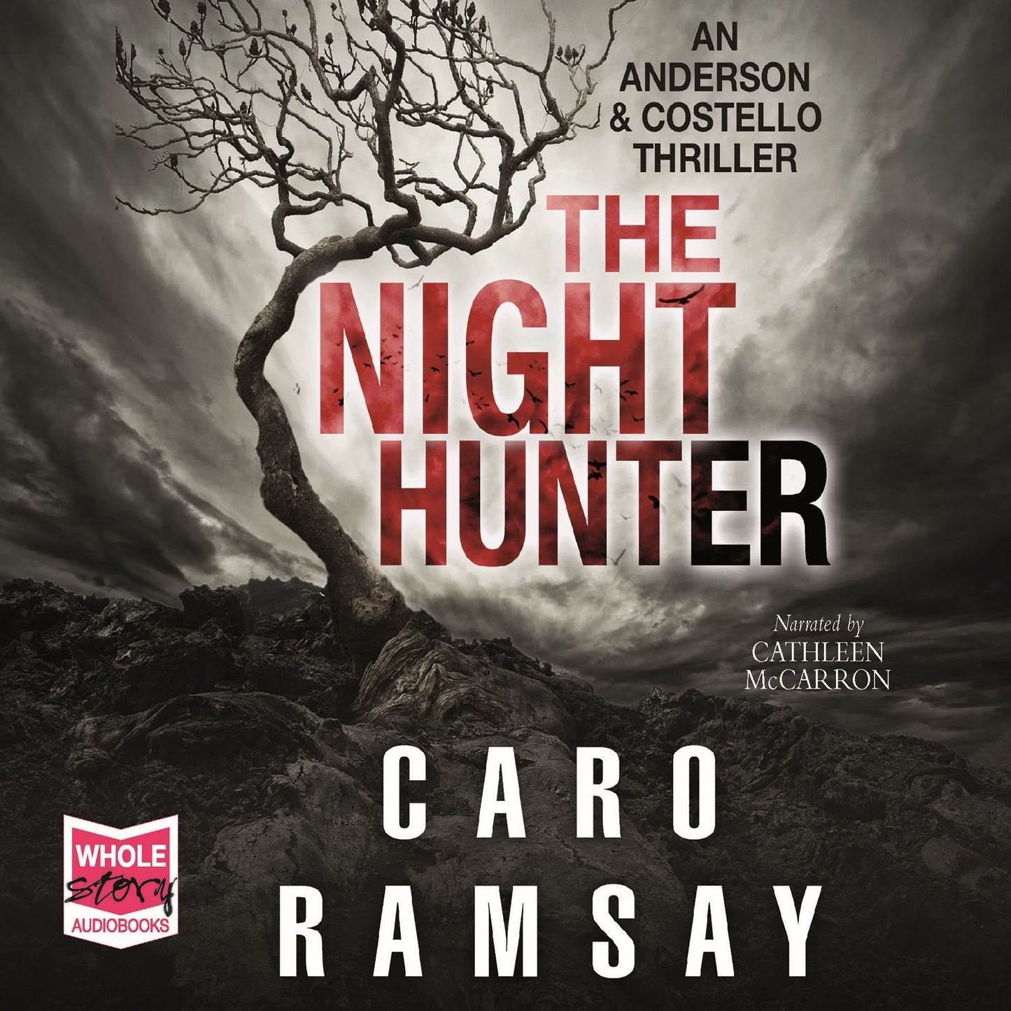 The Night Hunter: Anderson and Costello, Book 5