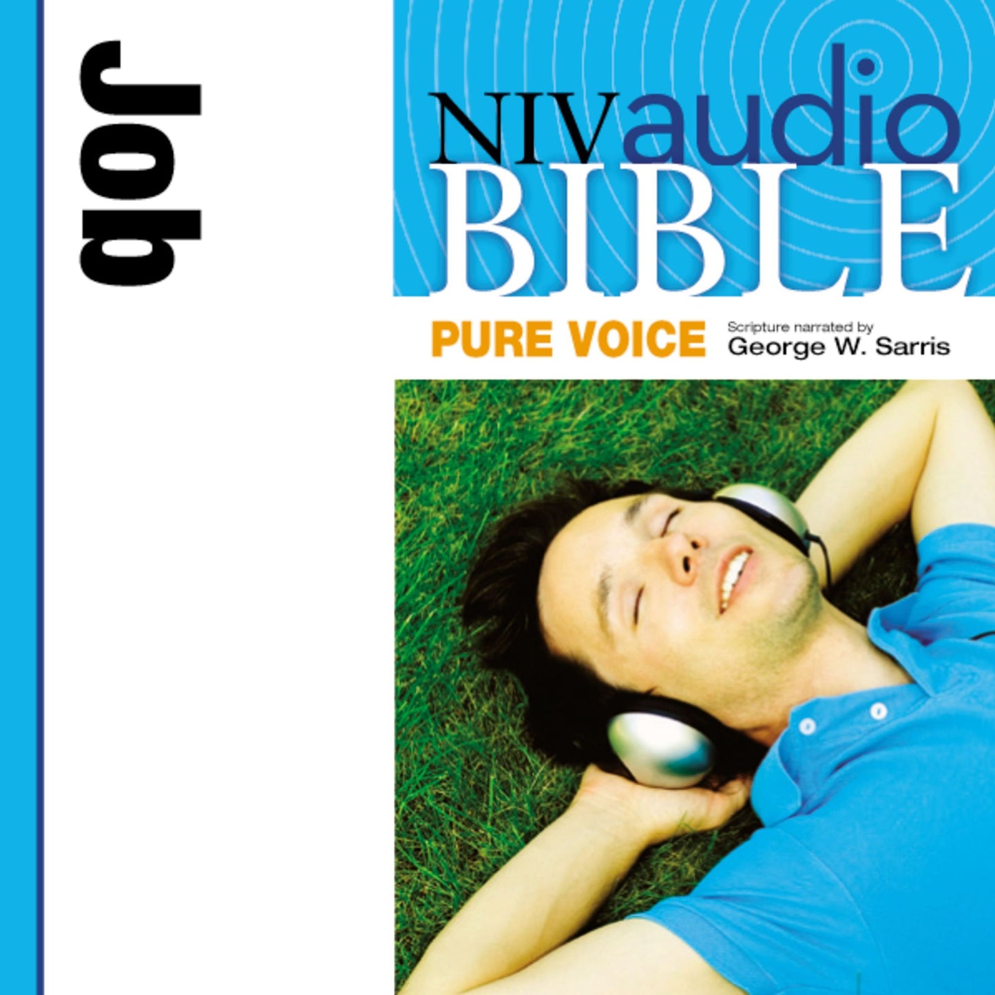 NIV Audio Bible, Pure Voice: Job