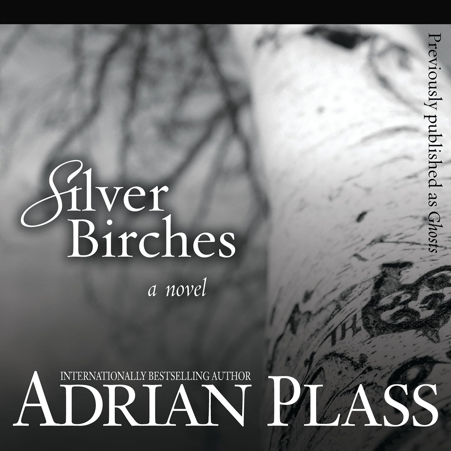 Silver Birches: A Novel