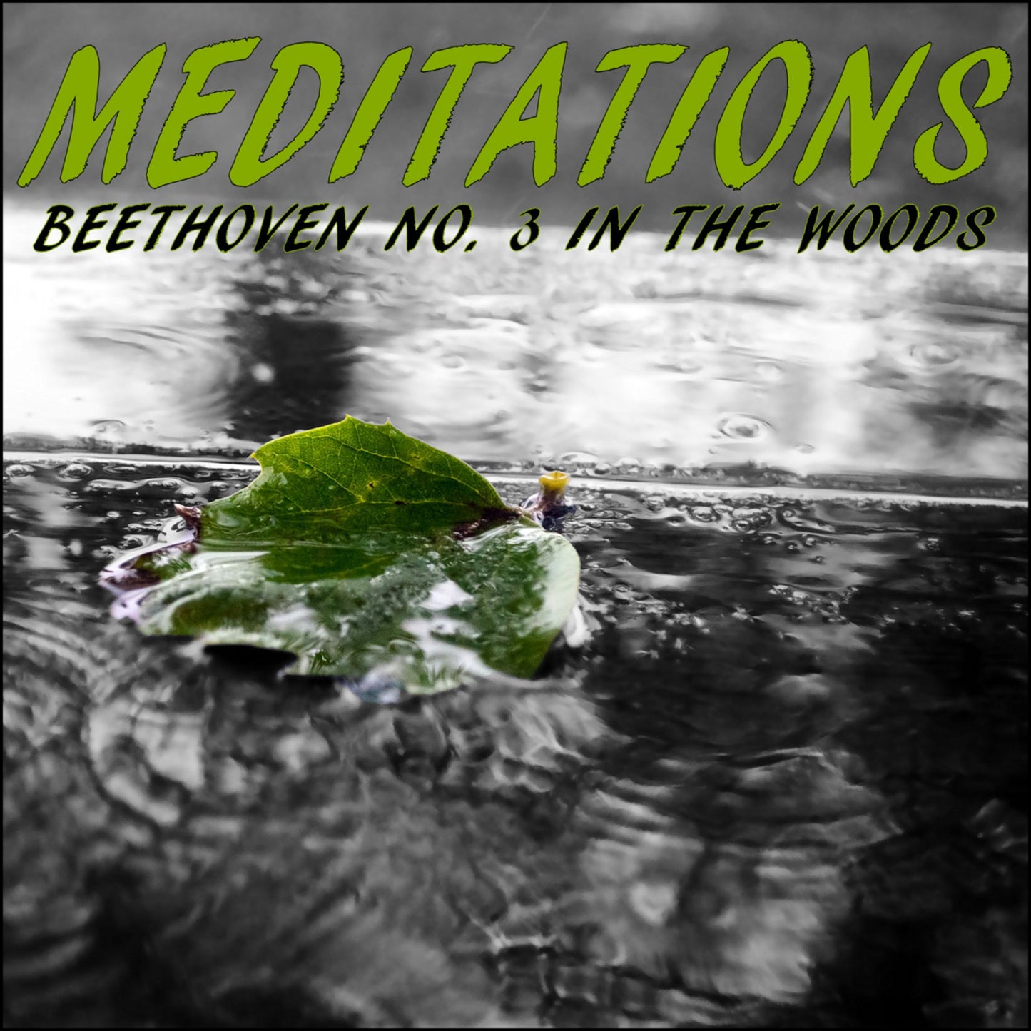 Meditations ¿ Beethoven No. 3 in the Woods