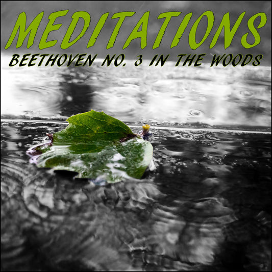 Meditations ¿ Beethoven No. 3 in the Woods