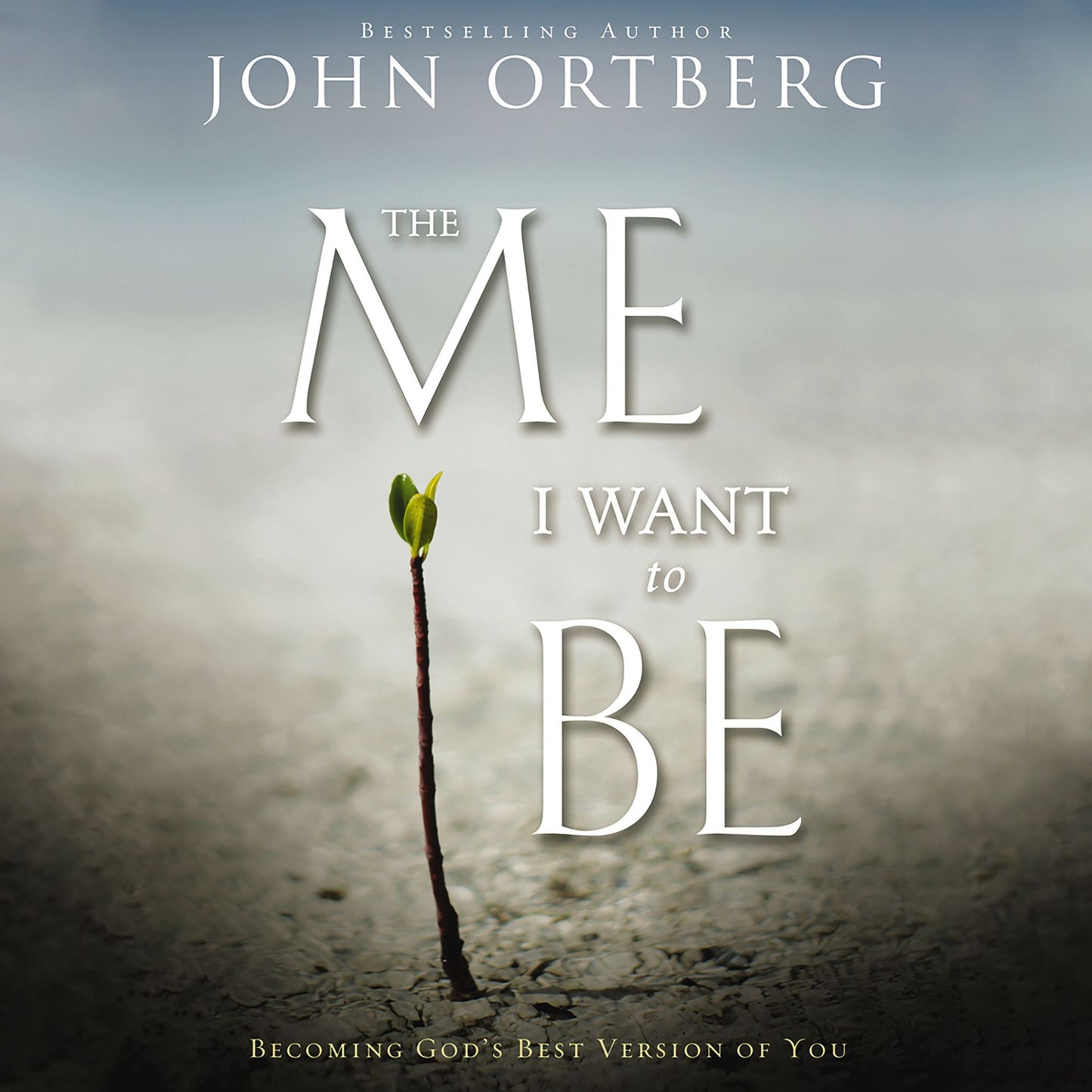 The Me I Want to Be: Becoming God's Best Version of You