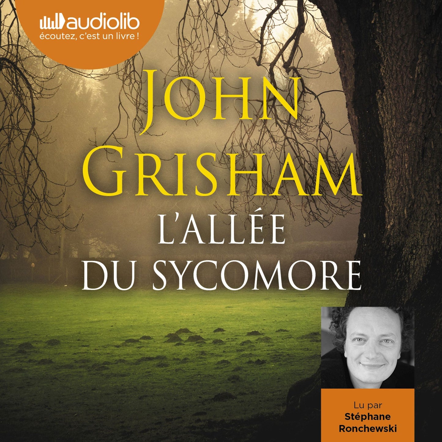 L'AllÃ©e du sycomore