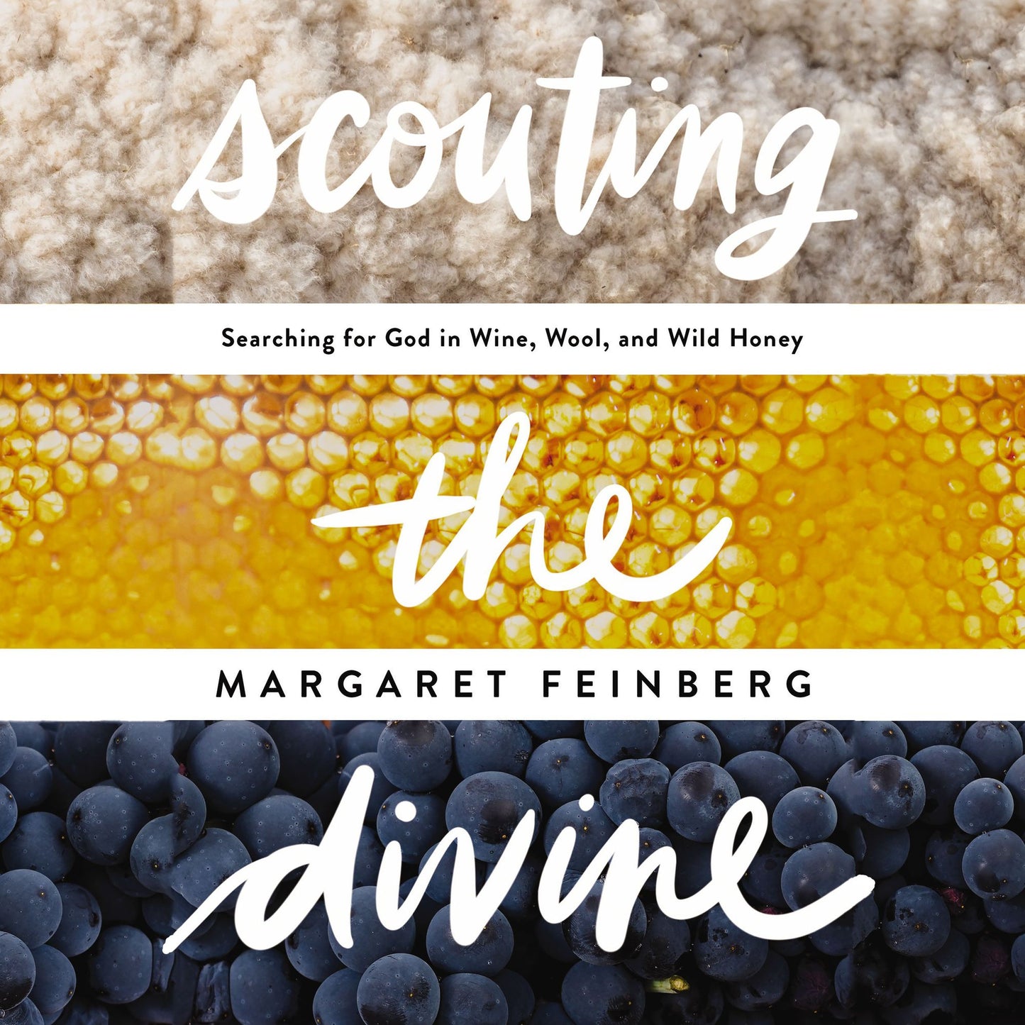 Scouting the Divine: Searching for God in Wine, Wool, and Wild Honey