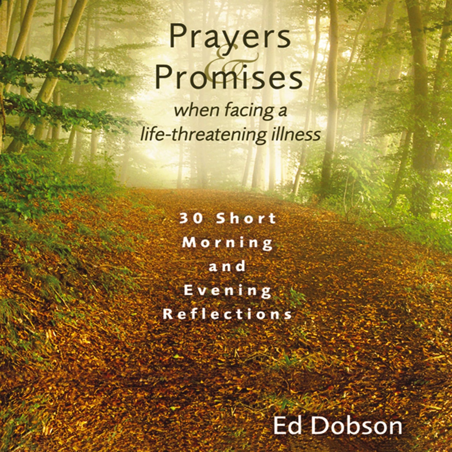 Prayers and Promises When Facing a Life-Threatening Illness: 30 Short Morning and Evening Reflections