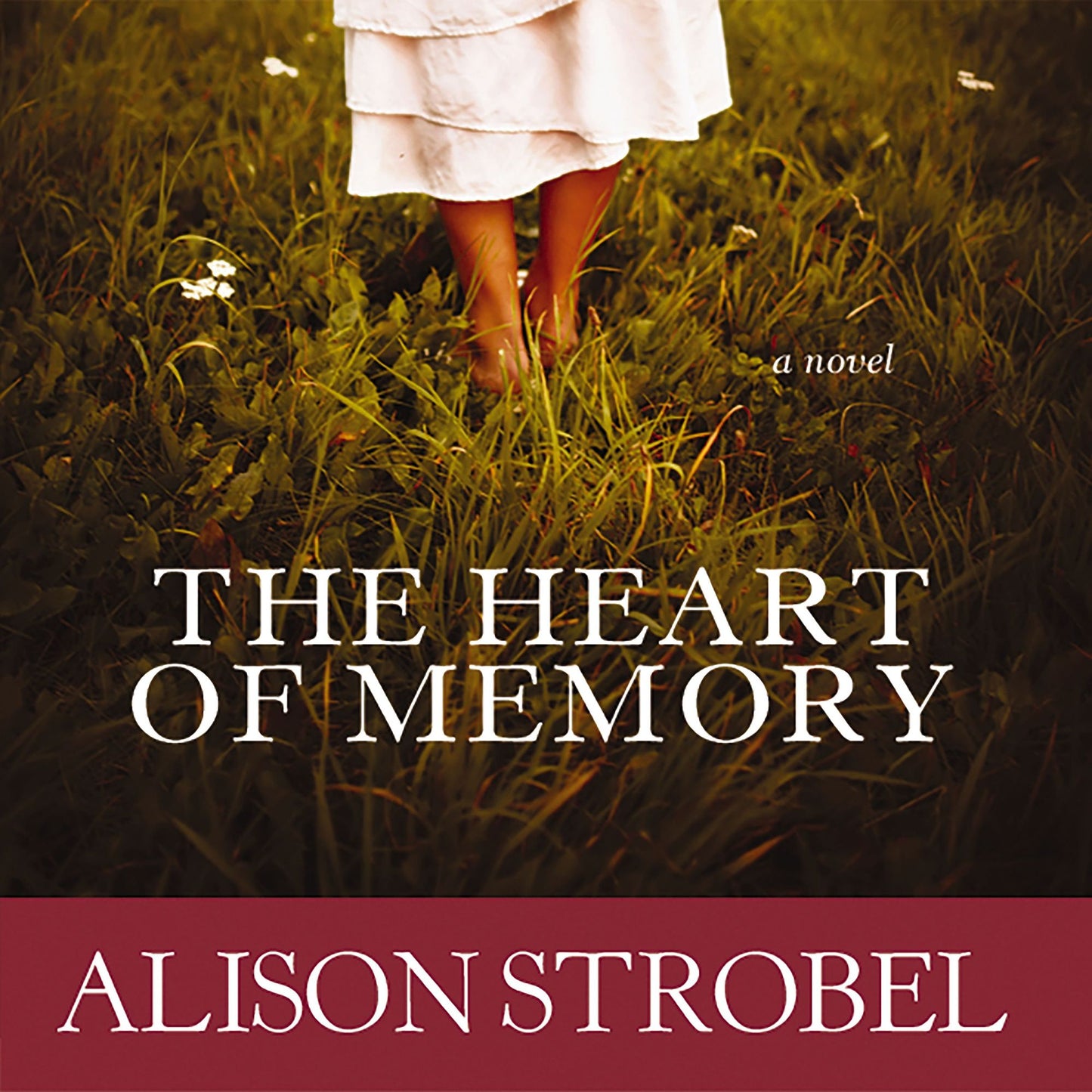 The Heart of Memory: A Novel