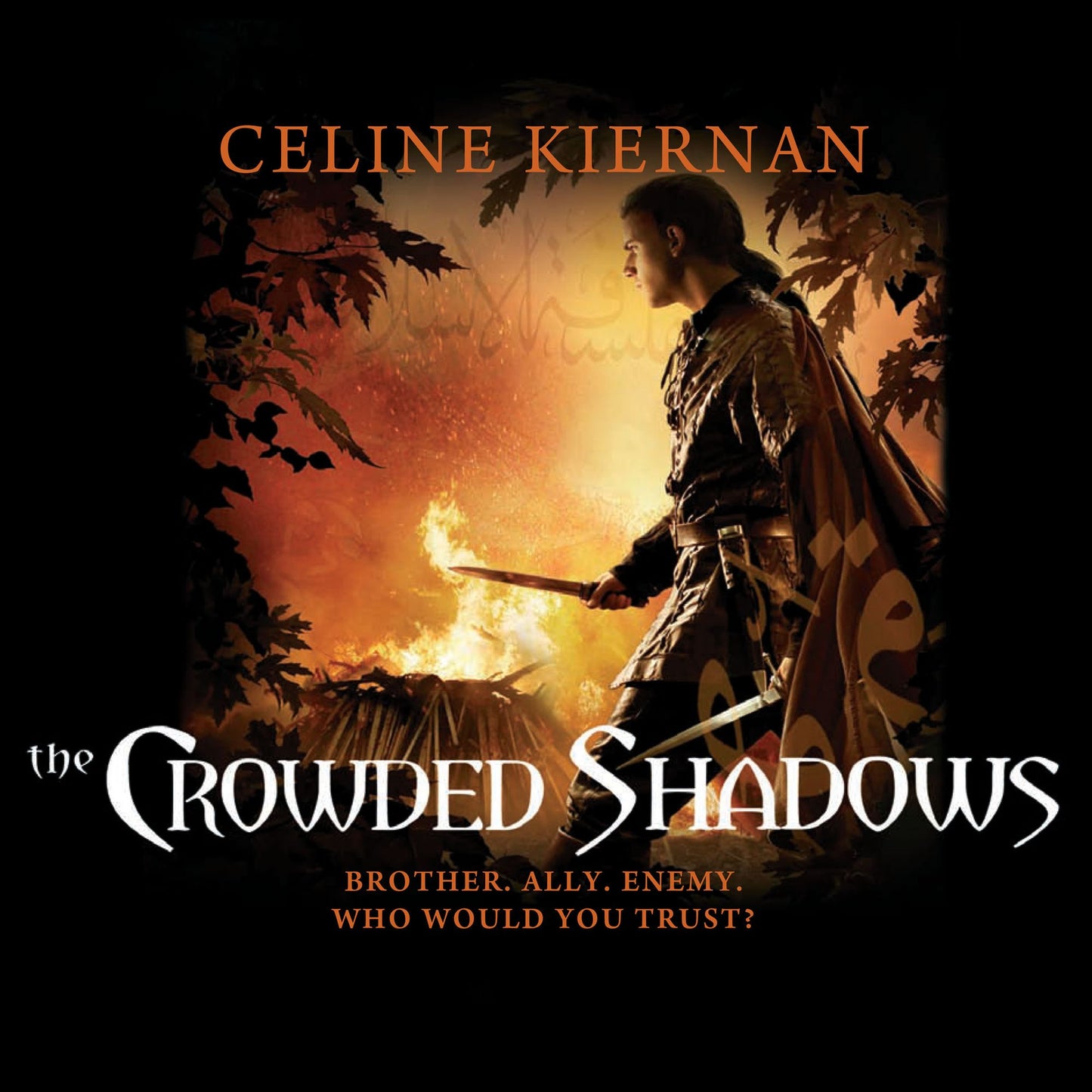 The Crowded Shadows