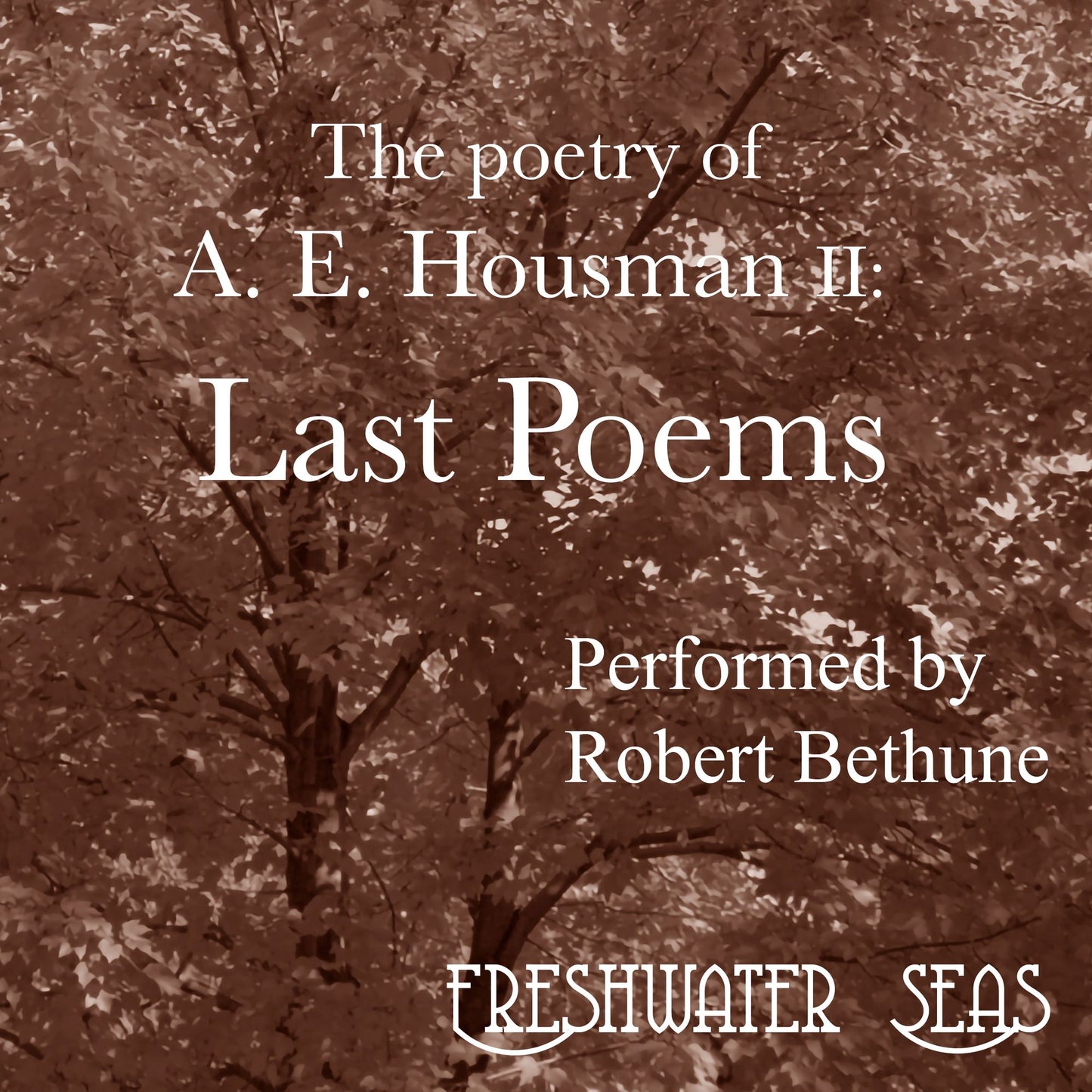 Shropshire Lad, a: Poetry of A.E. Housman