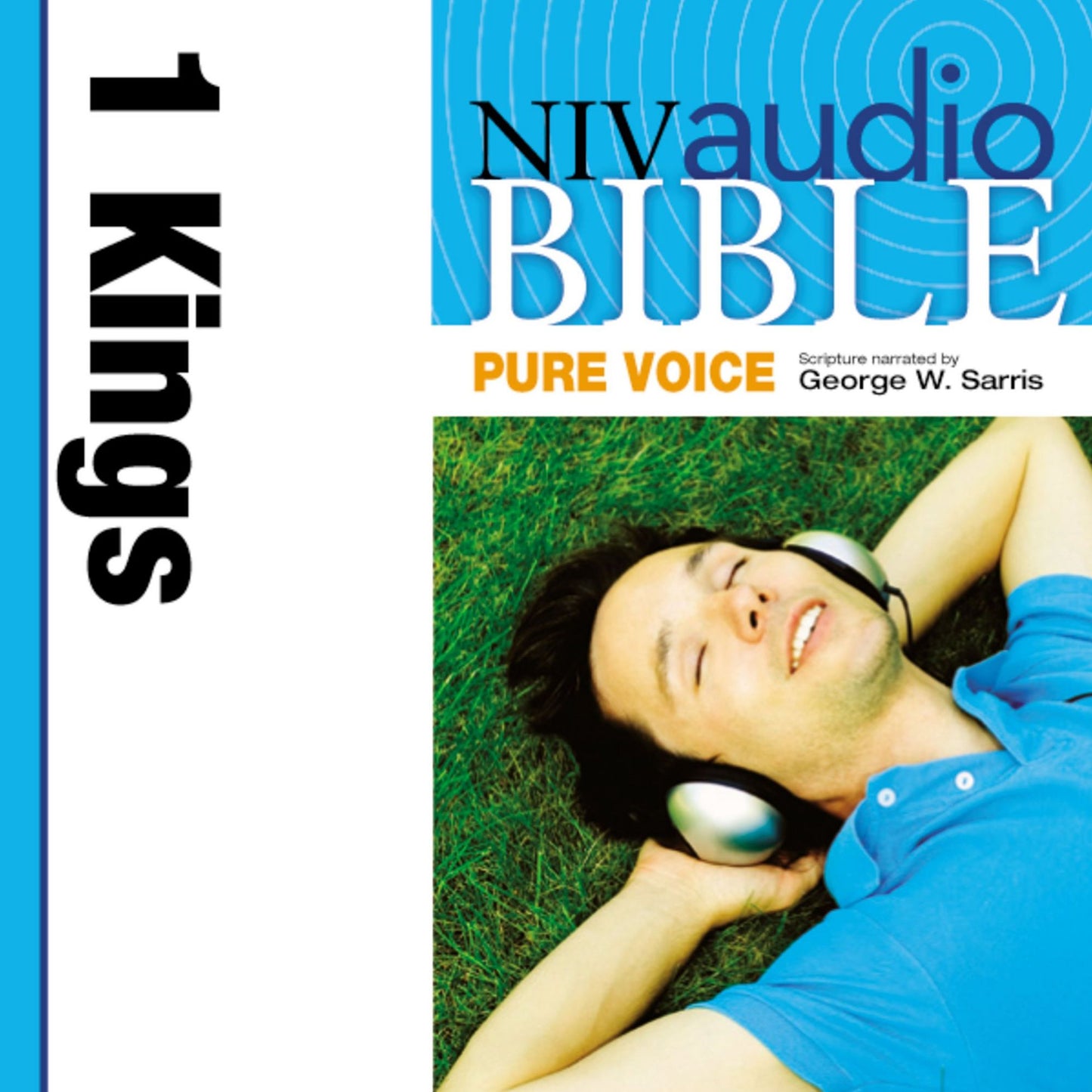 NIV Audio Bible, Pure Voice: 1 Kings