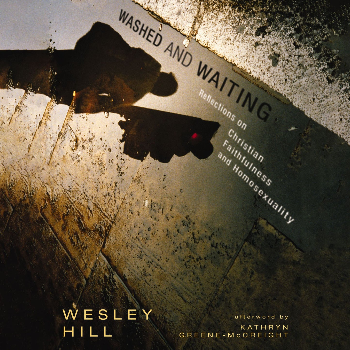Washed and Waiting: Reflections on Christian Faithfulness and Homosexuality