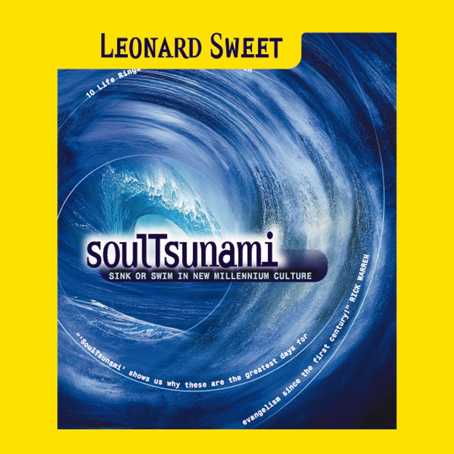 SoulTsunami: Sink or Swim in New Millennium Culture (Abridged)