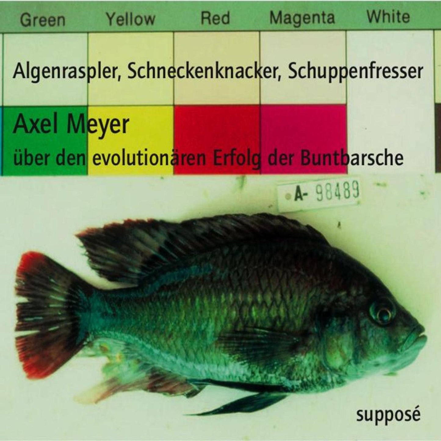 Algenraspler, Schneckenknacker, Schuppenfresser: Über den evolutionären Erfolg der Buntbarsche (Abridged)
