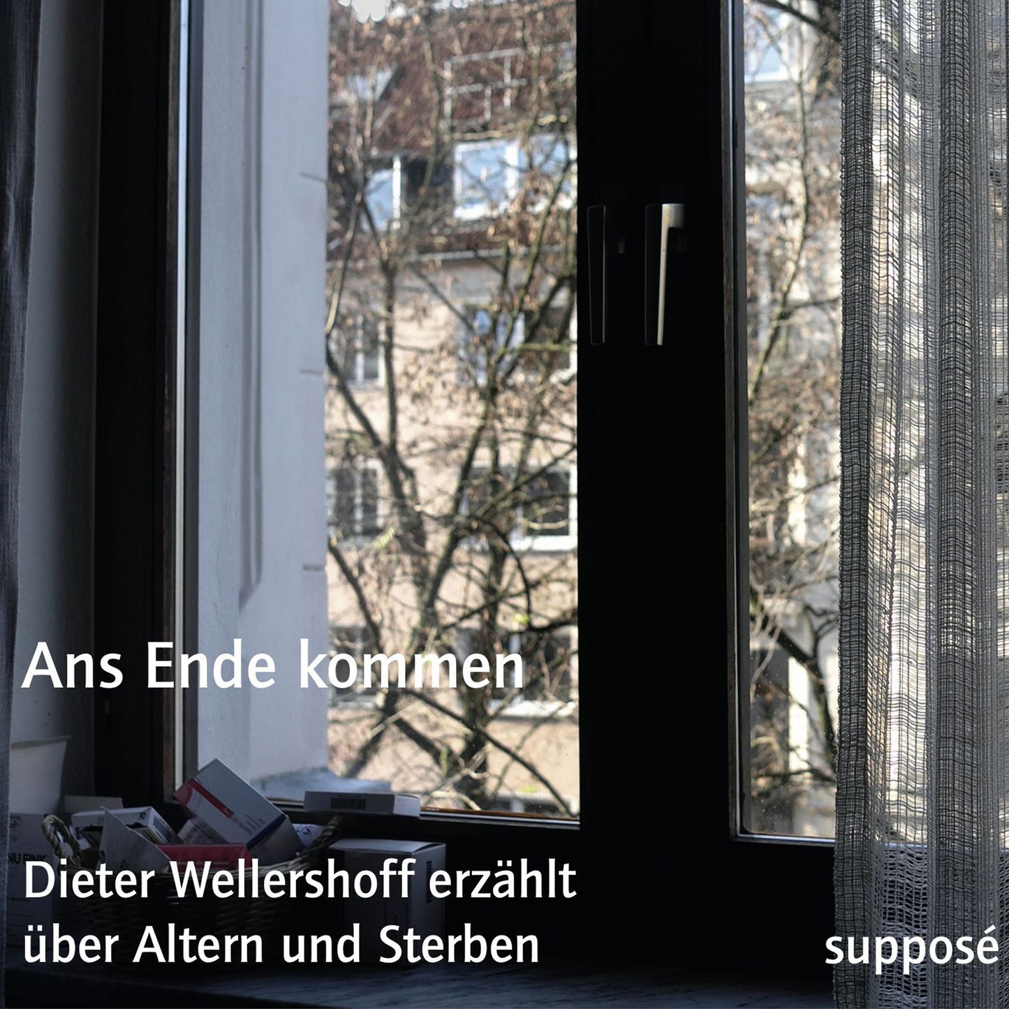 Ans Ende kommen: Dieter Wellershoff erzählt über Altern und Sterben (Abridged)
