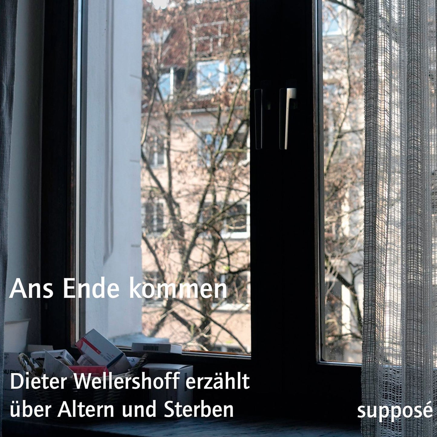 Ans Ende kommen: Dieter Wellershoff erzählt über Altern und Sterben (Abridged)