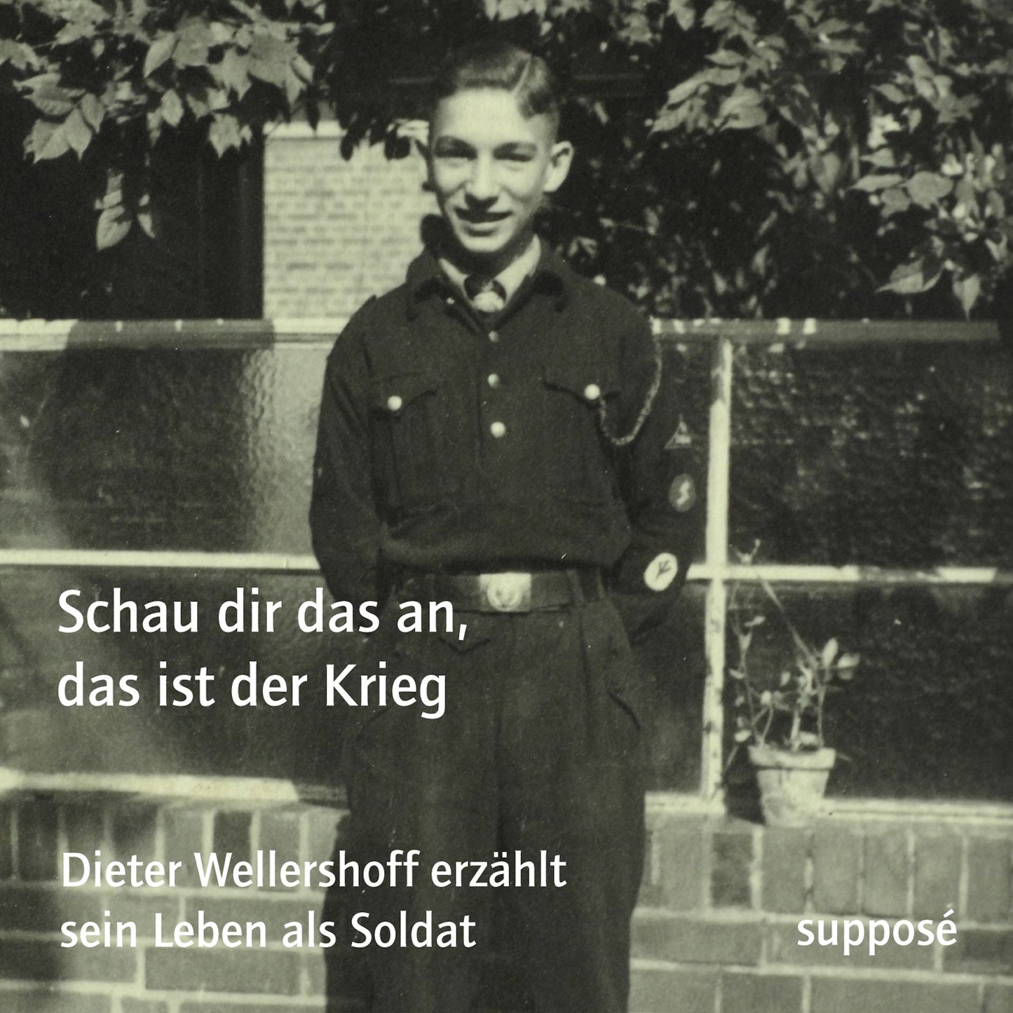 Schau dir das an, das ist der Krieg: Dieter Wellershoff erzählt sein Leben als Soldat (Abridged)