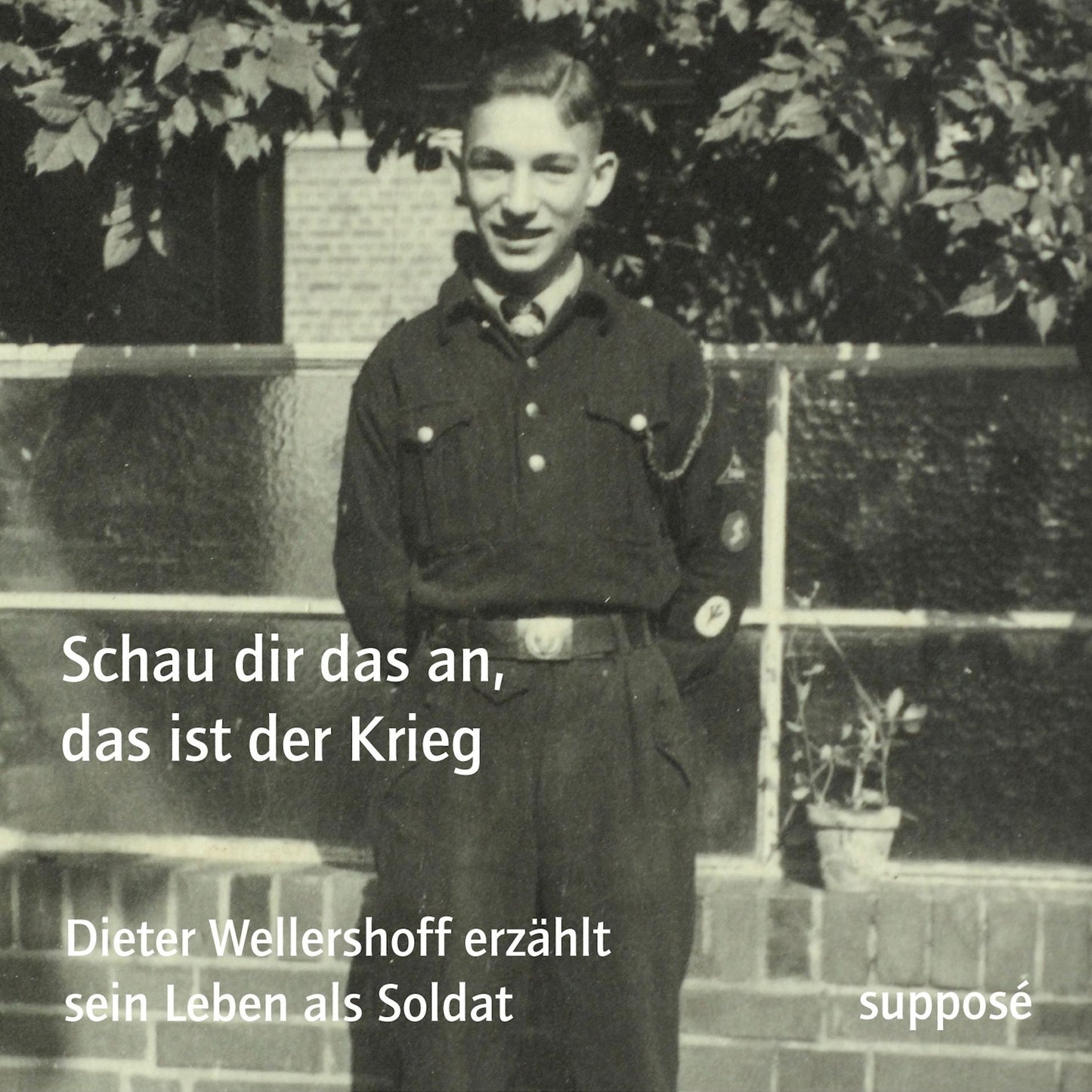 Schau dir das an, das ist der Krieg: Dieter Wellershoff erzählt sein Leben als Soldat (Abridged)