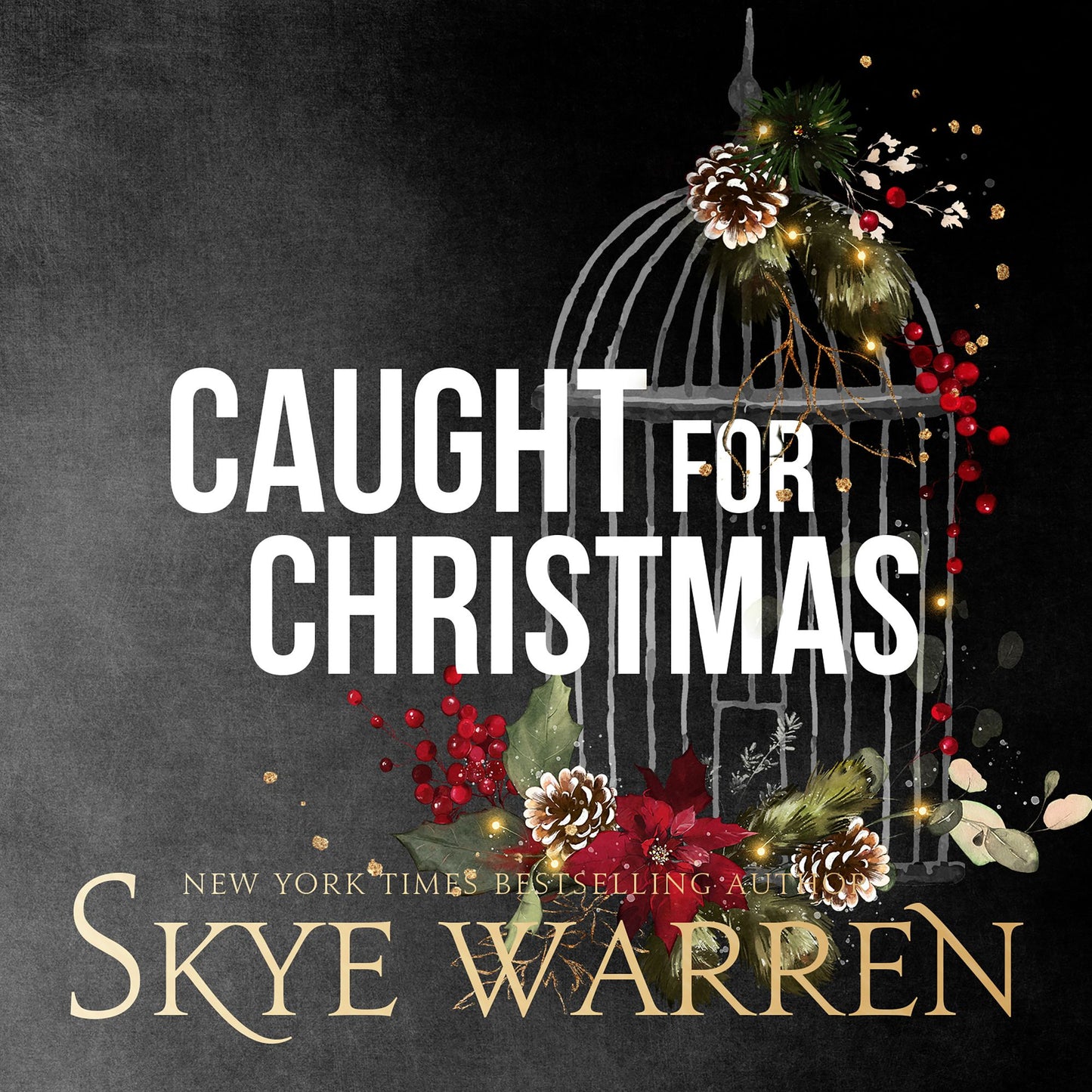 Caught for Christmas: An Erotic Romance Holiday Novella