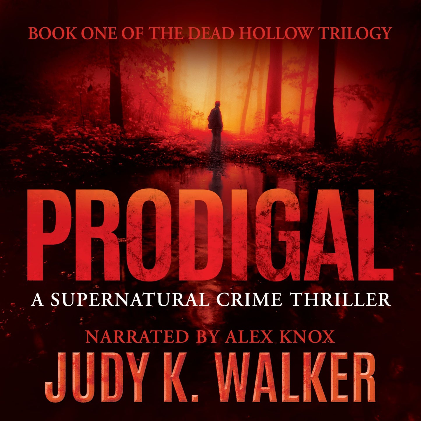 Prodigal: A Supernatural Crime Thriller