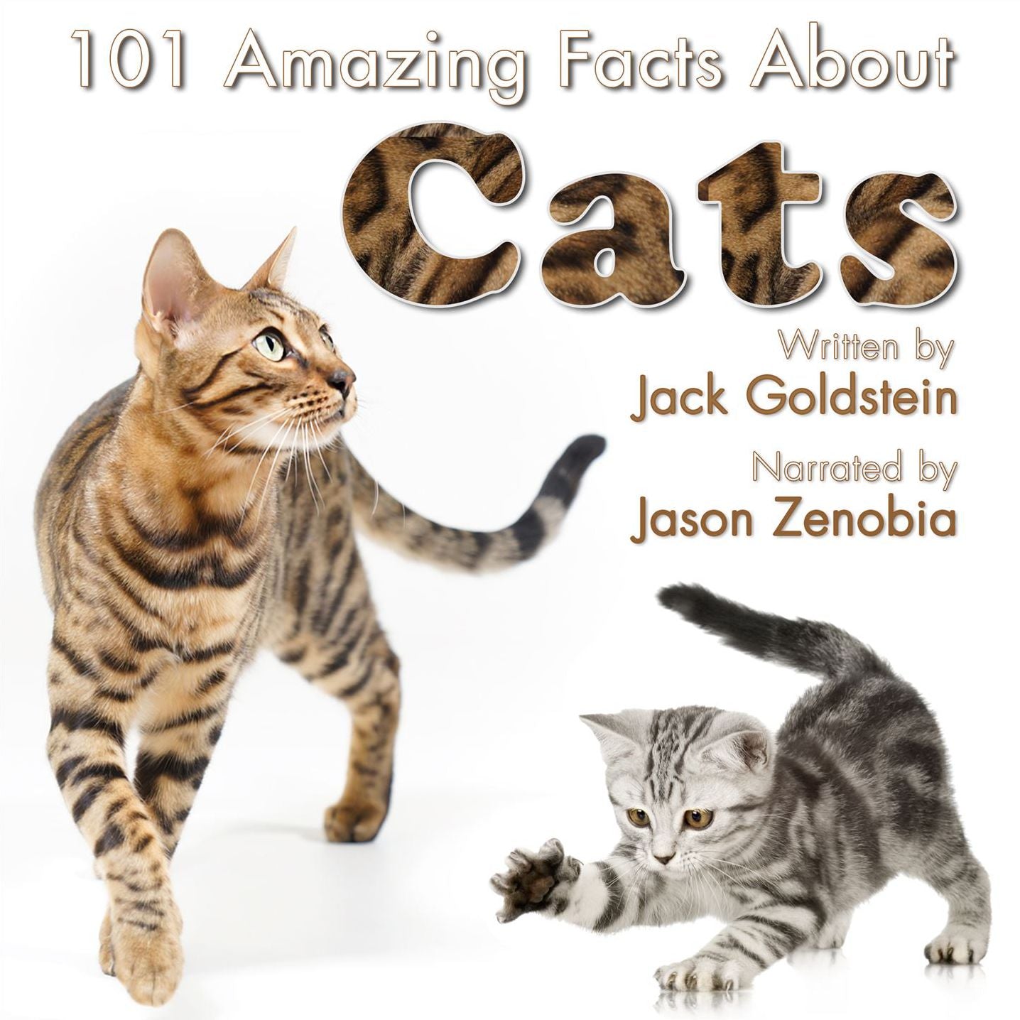 101 Amazing Facts about Cats