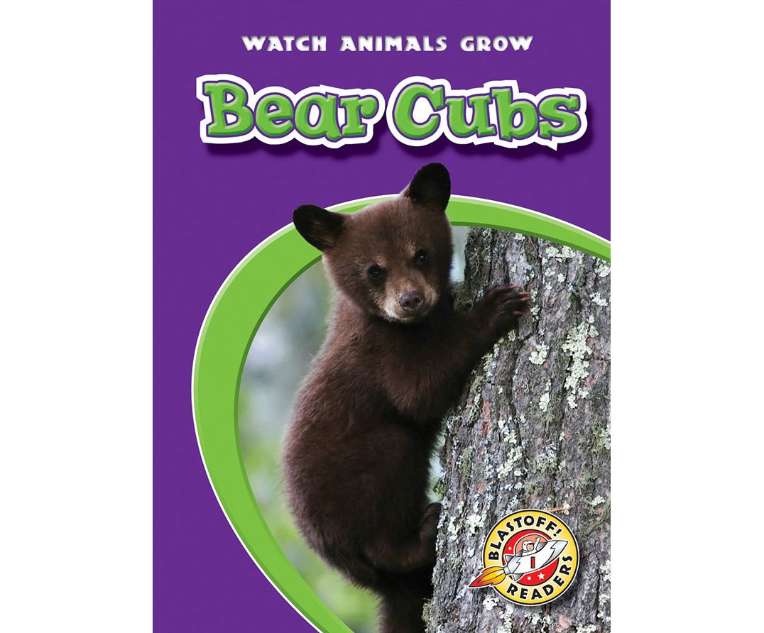 Bear Cubs