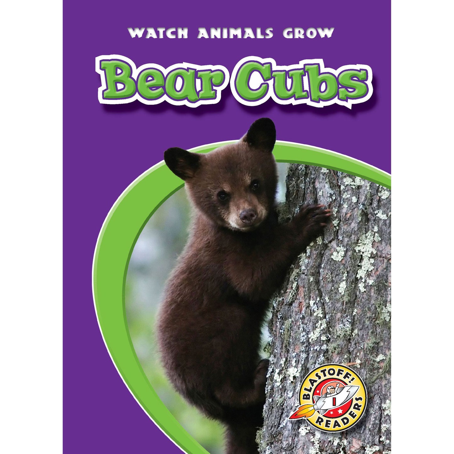 Bear Cubs