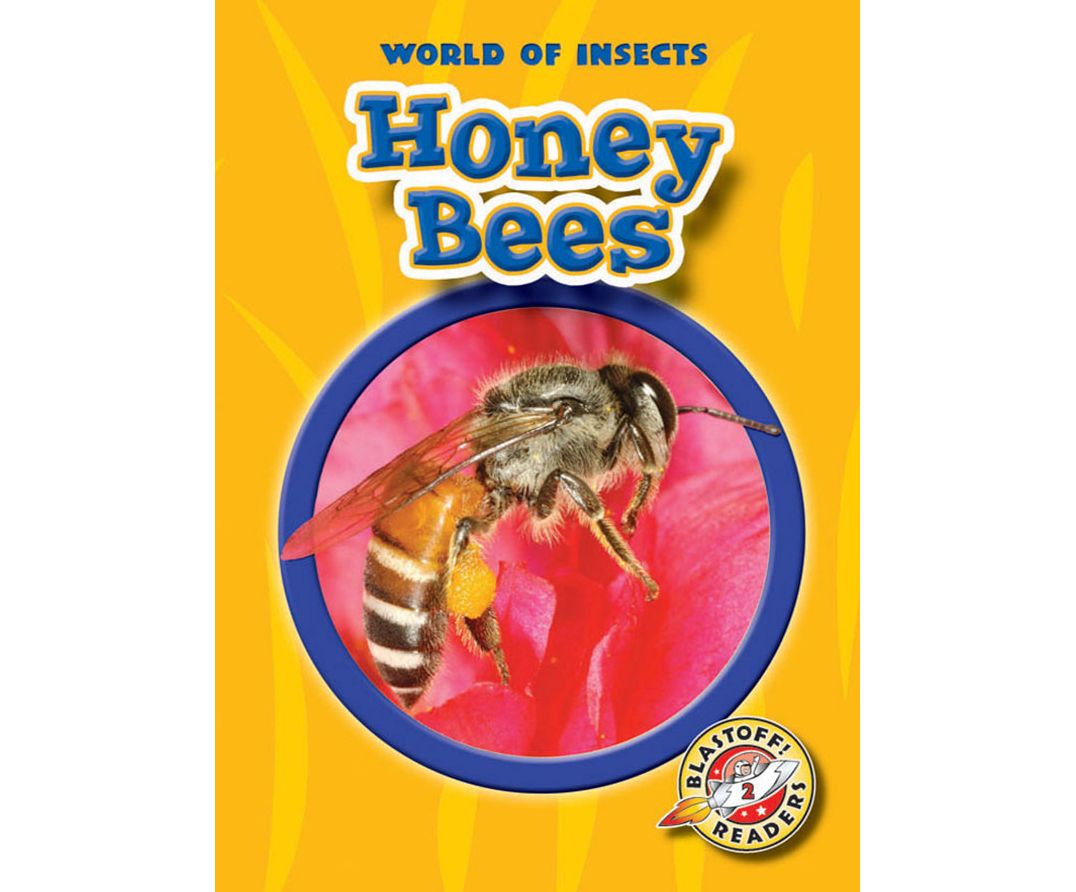 Honey Bees