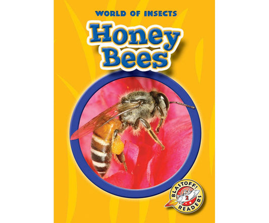 Honey Bees