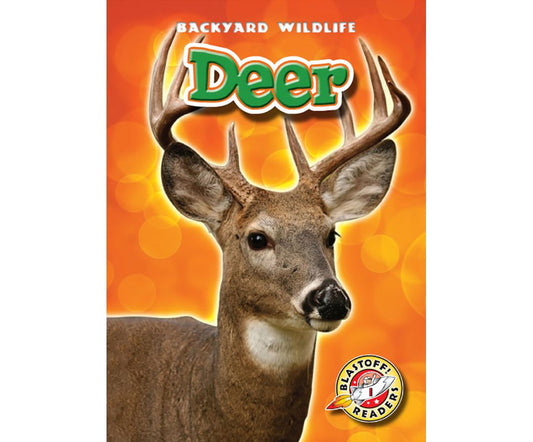 Deer