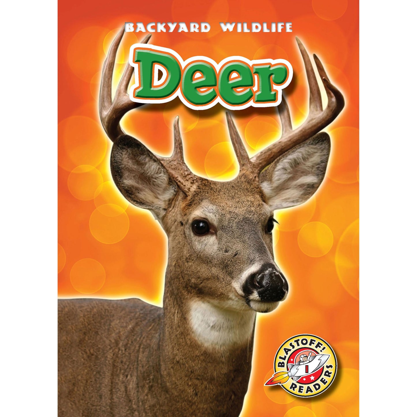 Deer