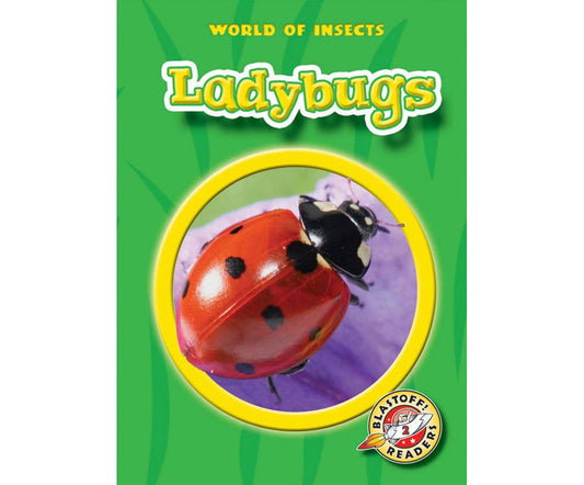 Ladybugs