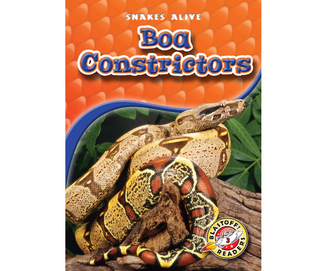 Boa Constrictors