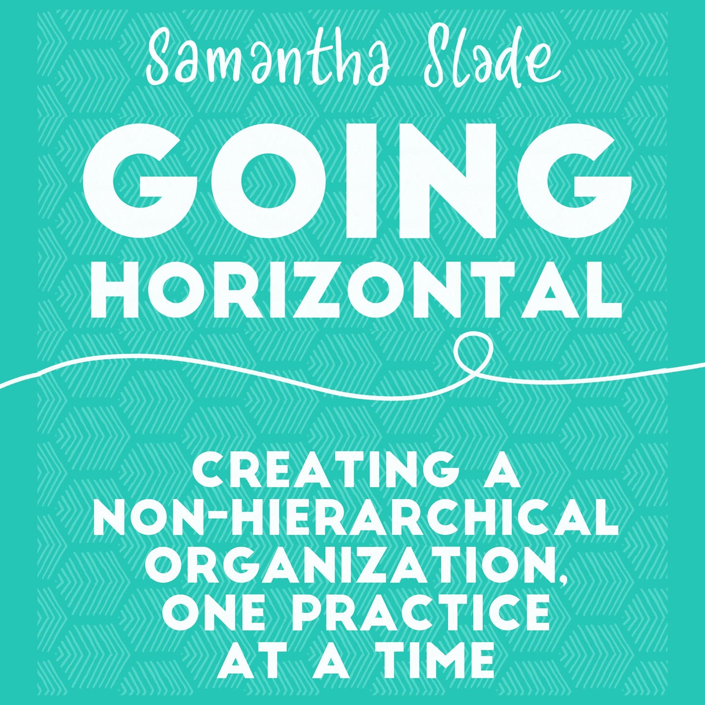 Going Horizontal: Creating a Non-Hierarchical Organization, One Practice at a Time
