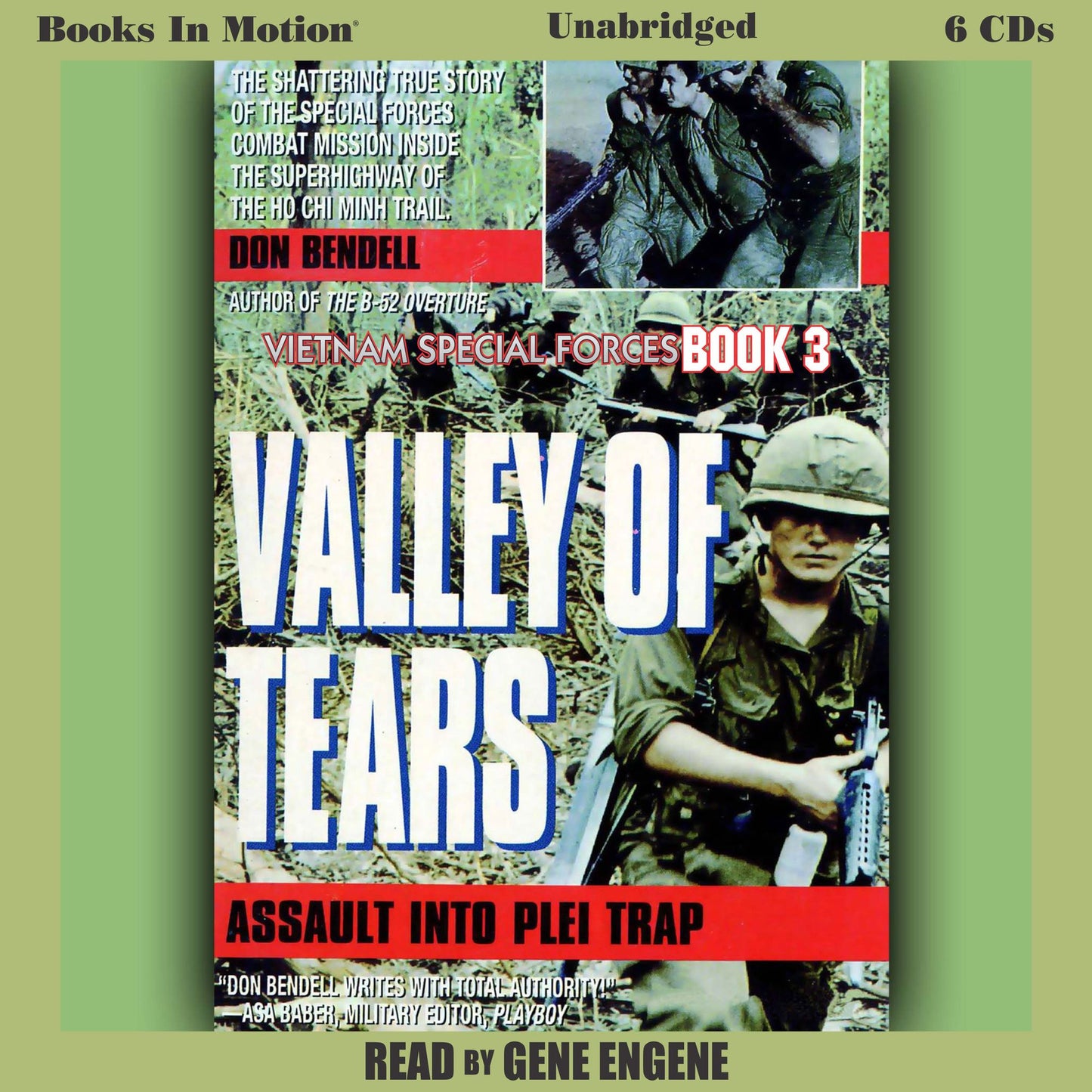 Valley of Tears : Assault Into Plei Trap