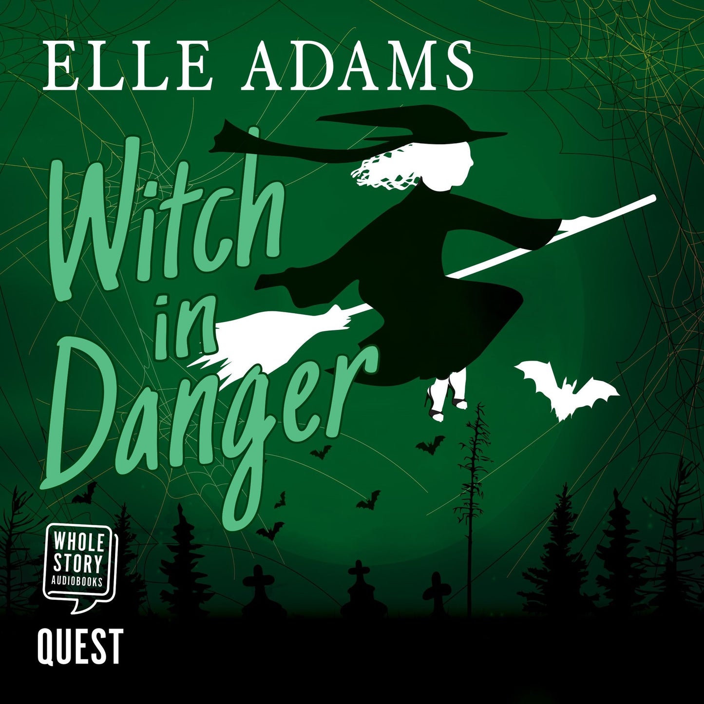 Witch in Danger: A Blair Wilkes Mystery, Book 3